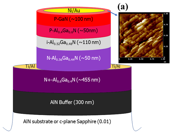 Low Dark Current Deep UV AlGaN Photodetectors on AlN Substrate