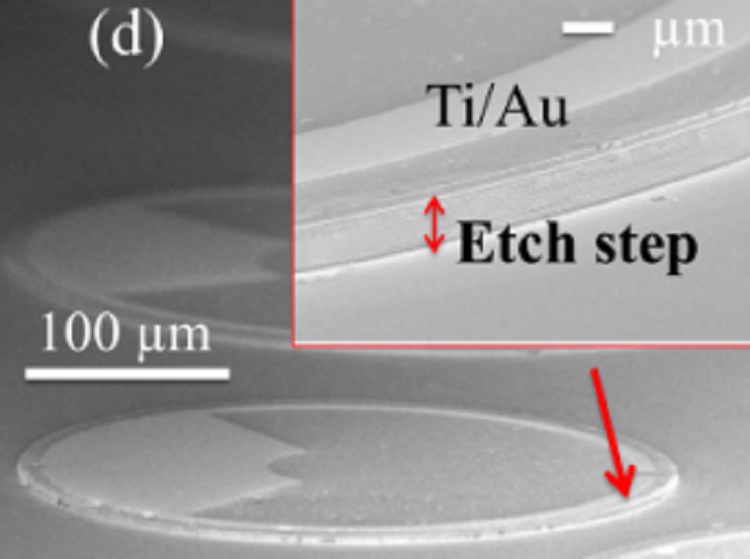 Demonstration of Zn-Diffused Planar Long-Wavelength Infrared Photodetector Based on Type-II Superlattice Grown by MBE